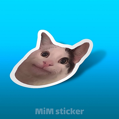 استیکر میم گربه